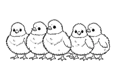 Vijf pluizige, schattige kuikentjes op een rij, getekend in zwart-wit lijnstijl voor een kleurplaat.