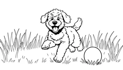 Kleurplaat van een blije, pluizige hond die door het gras rent met zijn mond open en tong uit, en een bal in het gras.