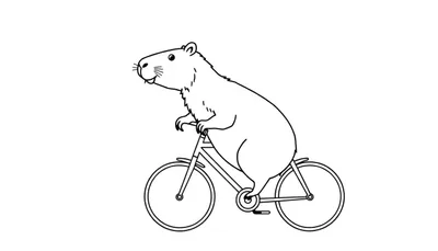 Kleurplaat van een capibara die op een fiets rijdt, lijntekening, zwart-wit, eenvoudige schets.