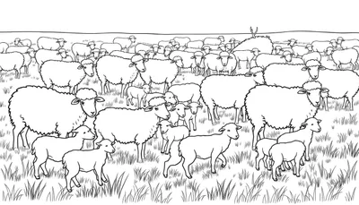 Zwart-wit kleurplaat van een grote kudde schapen en lammetjes in een grasveld, met een hert of eland met gewei op de achtergrond aan de linkerkant.