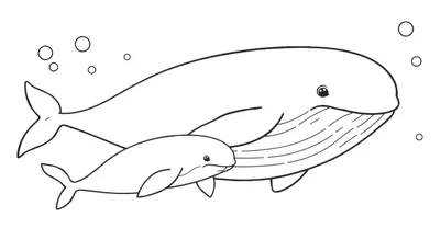 Kleurplaat met een grote walvis en een kleine baby walvis die vriendelijk naar de kijker kijken, omringd door bubbels.