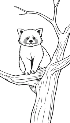 Kleurplaat van een lieve rode panda die op een dikke boomtak zit.