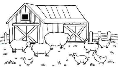 Zwart-wit kleurplaat van een boerderij met schuur, drie schapen en vier kippen.
