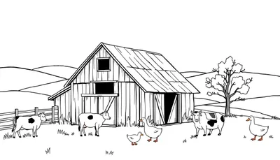 Een zwart-wit lijntekening van een boerderijtafereel, met een schuur, drie koeien, drie eenden en heuvels op de achtergrond.