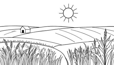 Zwart-wit tekening van een graanveld, glooiende heuvels, een huisje en een zon met stralen.
