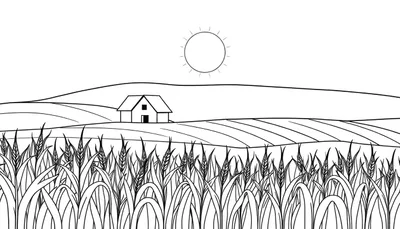 Zwart-wit kleurplaat met een landelijk tafereel. Op de voorgrond hoge gewassen, in het midden een boerderijtje met glooiende heuvels erachter, en in de lucht een zon met stralen.