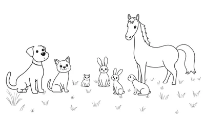 Zwart-wit kleurplaat met een hond, kat, vier konijnen en een paard op een grasveld.