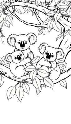 Kleurplaat van drie koala's in een boom: een volwassen koala met baby, en een jong koala omringd door bladeren.