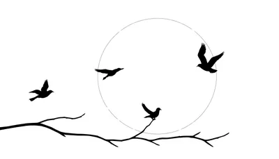 Zwart-wit illustratie van een grote cirkel (zon/maan) met een horizontale boomtak onderaan en vier silhouet vogels die vliegen of op de tak zitten.