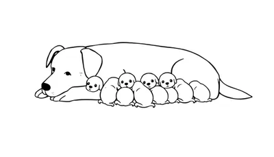 Zwart-wit lijntekening van een moederhond die ligt met zes schattige puppy's dicht tegen haar aan. De moederhond kijkt naar links.