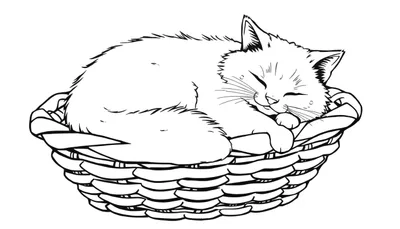 Zwart-witte lijntekening van een schattig, pluizig katje dat slaapt in een mand.