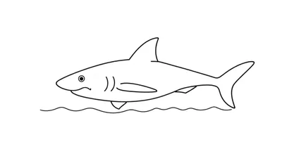 Zwart-wit lijntekening van een vriendelijke, getekende haai die naar links kijkt met een mond die lacht, kieuwen, vinnen en een staart, omringd door golven.