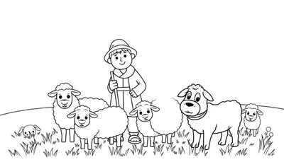 Kleurplaat van een glimlachende herderjongen met een staf, staand te midden van een kudde van zeven glimlachende schapen en lammetjes in een graslandschap met een lichte heuvel op de achtergrond. Zwart-wit lijntekening.