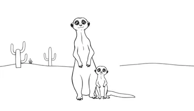 Kleurplaat van een grote en kleine stokstaartje die rechtop en zittend naar voren kijken in een woestijn met cactussen.