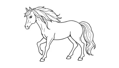 Zwart-witte lijntekening van een paard in beweging met opgetild voorbeen en golvende manen.