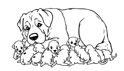Kleurplaat van een grote moederhond die liefdevol naar een hoopje kleine puppy's kijkt die om haar heen liggen.