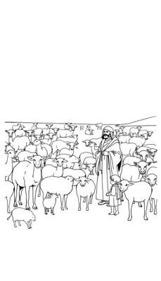 Zwart-wit lijntekening kleurplaat: Een herder met baard en mantel staat naast een kind, omringd door een grote kudde schapen en lammetjes. Op de achtergrond is een glooiende horizonlijn te zien.