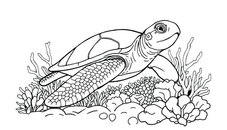 Kleurplaat van een zeeschildpad met koraal en zeewier in een onderwaterwereld.