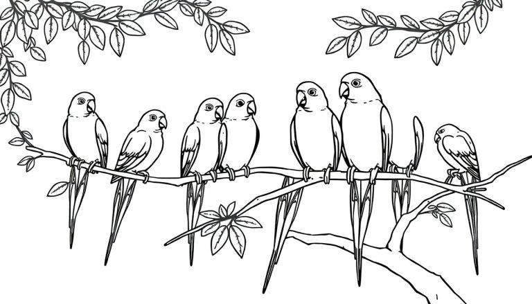 Kleurplaat van zeven vogels op takken met bladeren, klaar om ingekleurd te worden.