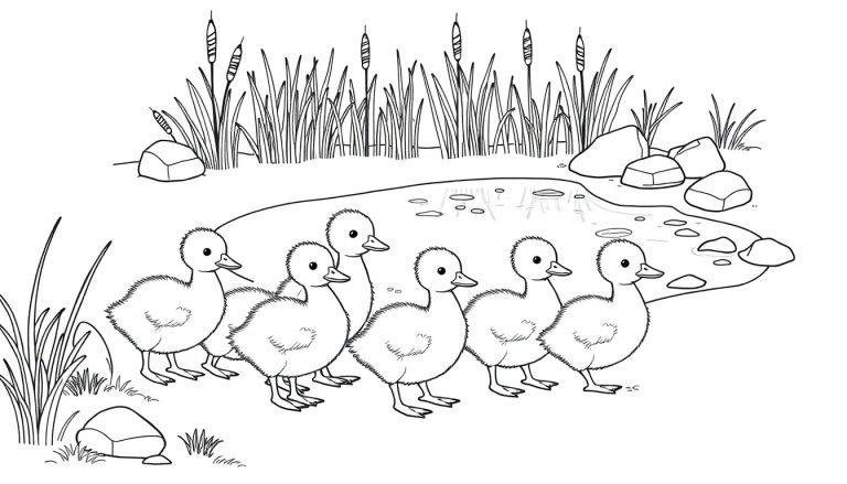 Zwart-wit kleurplaat van zes schattige eendjes op de oever bij een vijver met riet.