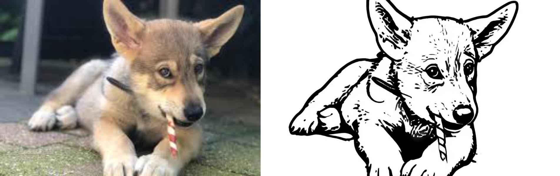 kleurplaat van foto maken