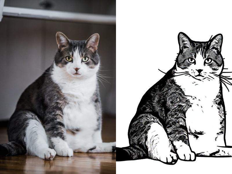 Maak een Kleurplaat van je Eigen Foto!