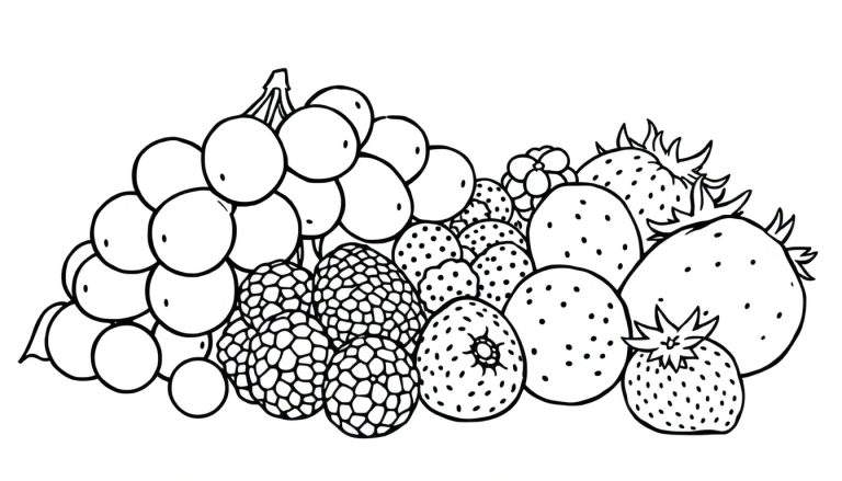 Zwart-wit lijntekening van fruit zoals druiven, bramen en aardbeien, perfect als kleurplaat.