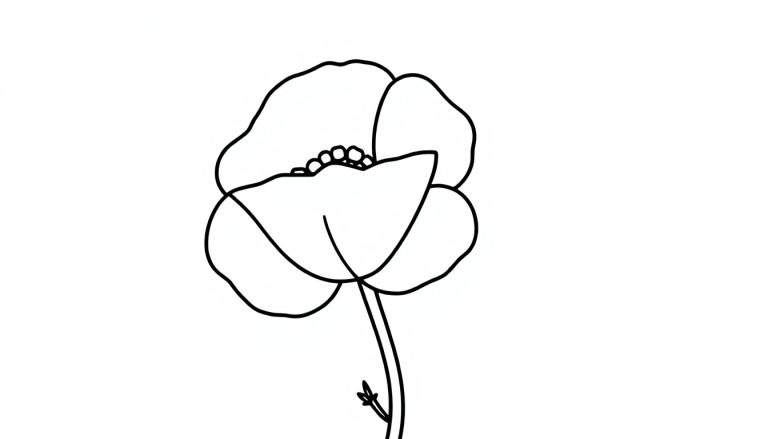 Kleurplaat van een klaproos.