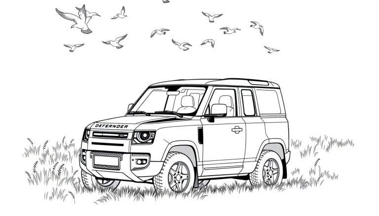 Een zwart-wit kleurplaat van een Land Rover Defender in een grasveld met vogels in de lucht.