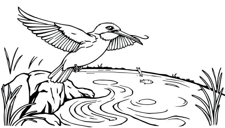 Kleurplaat van een ijsvogel die op een rots zit, met een vis die uit het water springt.