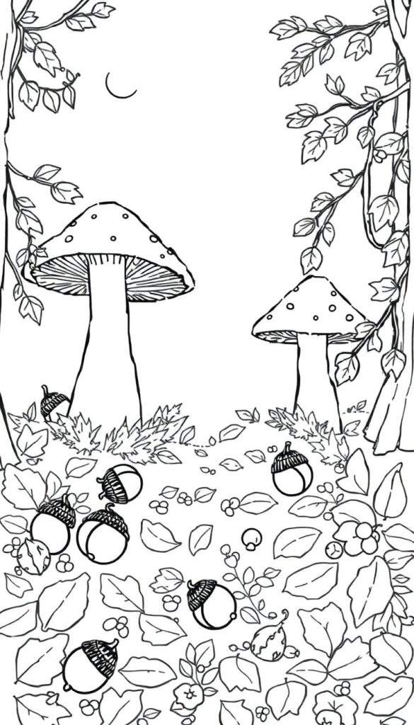 Kleurplaat van een magisch herfsttafereel met paddenstoelen, eikels, bladeren, takken, bloemetjes, bessen en een halve maan.