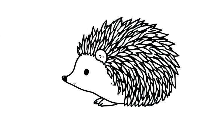 Zwart-wit kleurplaat van een egel met gedetailleerde stekels, kijkend naar links.