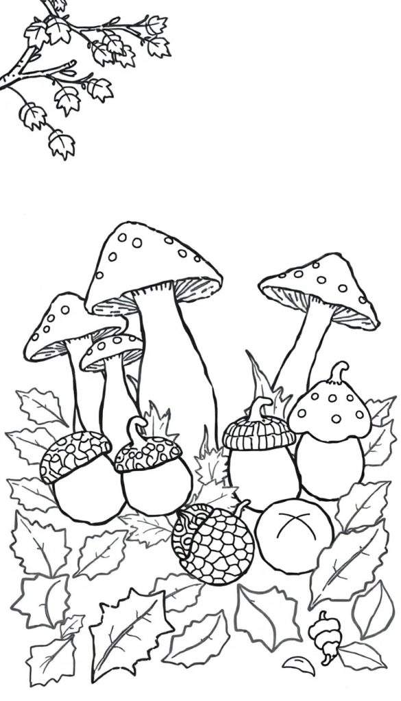 Kleurplaat van een herfstlandschap met paddenstoelen, eikels en bladeren.