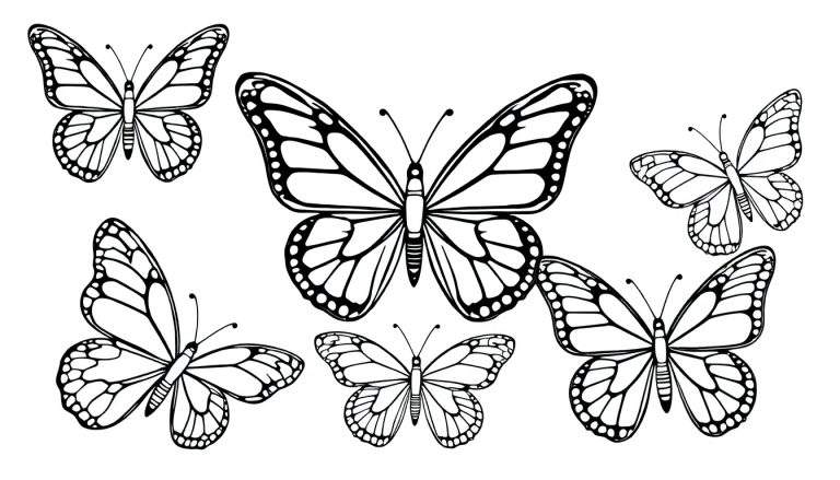 Zwart-wit tekening van zes verschillende vlinders, vliegend in verschillende posities en groottes, met gedetailleerde vleugelpatronen.