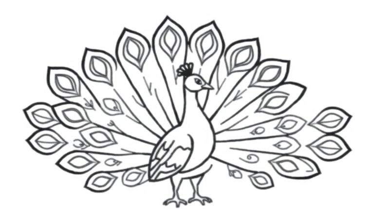 Zwart-wit tekening van een pauw met volledig uitgespreide waaierstaart, klaar om gekleurd te worden.