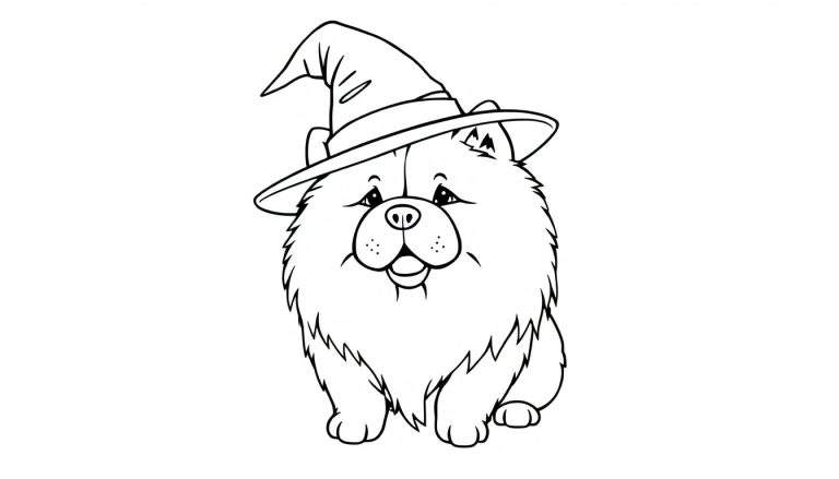 Zwart-witte lijntekening van een pluizige hond met een puntige heksenhoed, die vrolijk glimlacht.