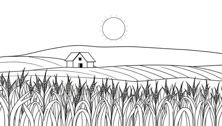 Zwart-wit kleurplaat met een landelijk tafereel. Op de voorgrond hoge gewassen, in het midden een boerderijtje met glooiende heuvels erachter, en in de lucht een zon met stralen.