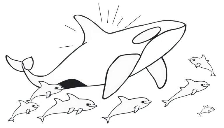 Kleurplaat van een orka met zwart-witte patronen, omringd door zeven dolfijnen van verschillende groottes. Kleine streepjes rond de orka symboliseren beweging of geluid.